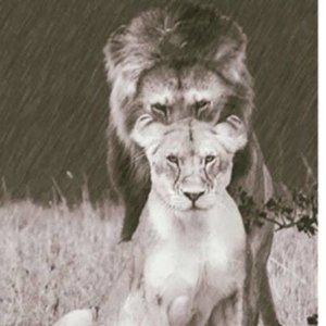 Meet your Posher, Katelyn